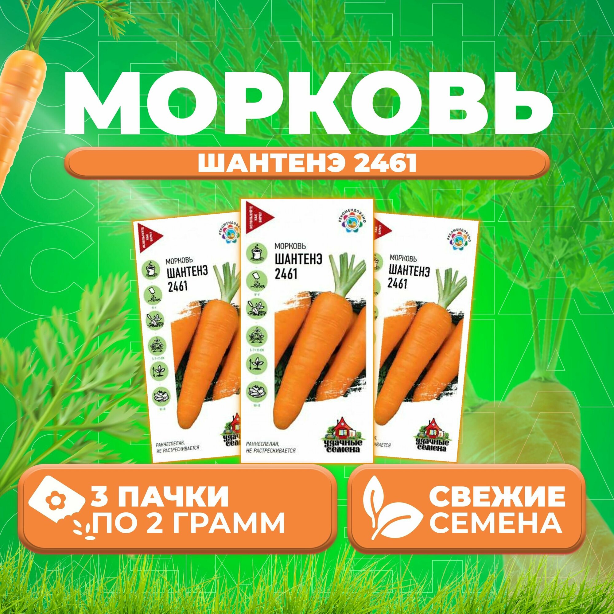 Морковь Шантенэ 2461 20г Удачные семена (3 уп)