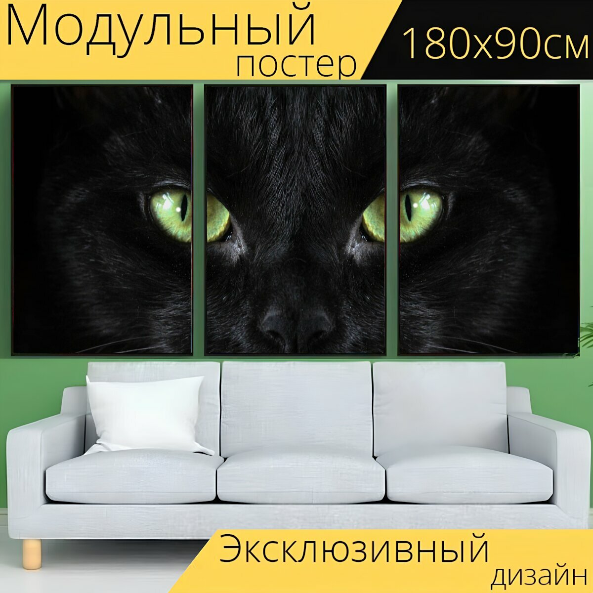 Модульный постер "Кот, чернить, глаза" 180 x 90 см. для интерьера
