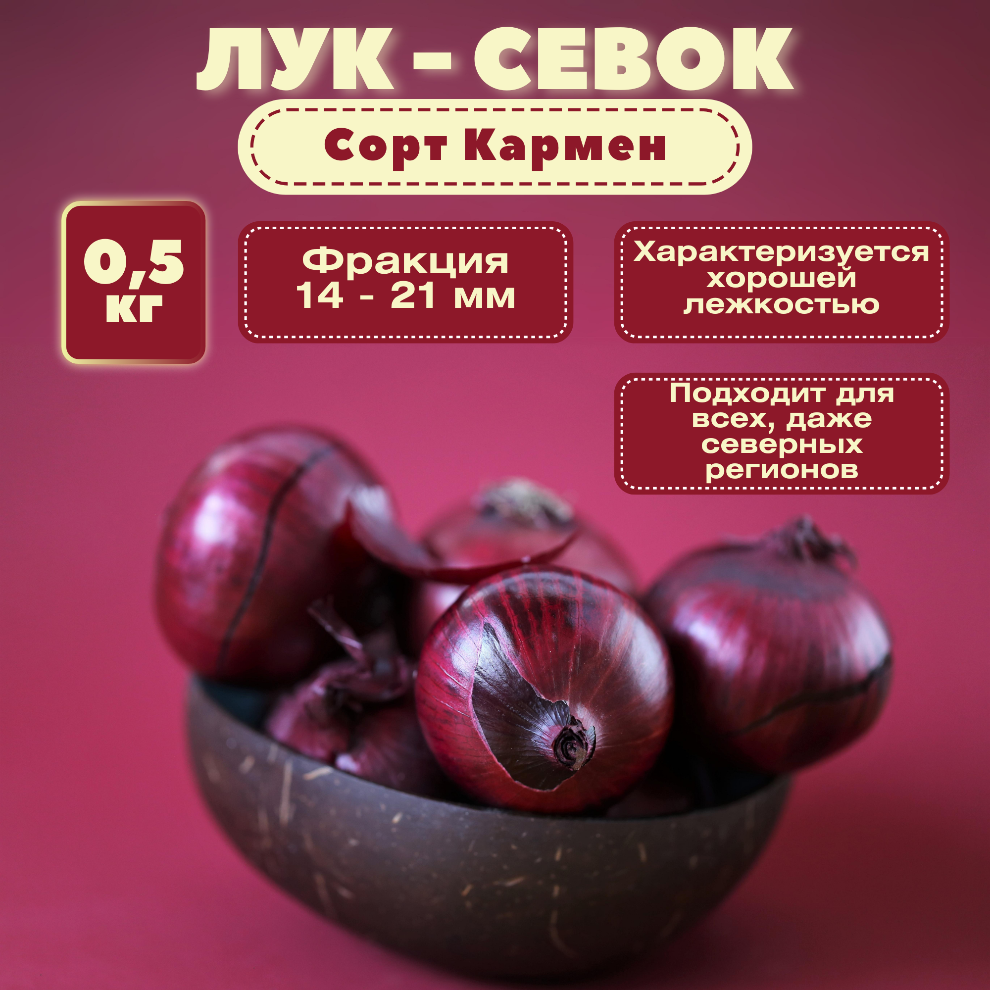 Лук севок фасованный 0,5 кг. Красный салатный сорт Кармен. Сочная хрустящая мякоть имеет слабоострый пикантный вкус; употребляют в свежем виде