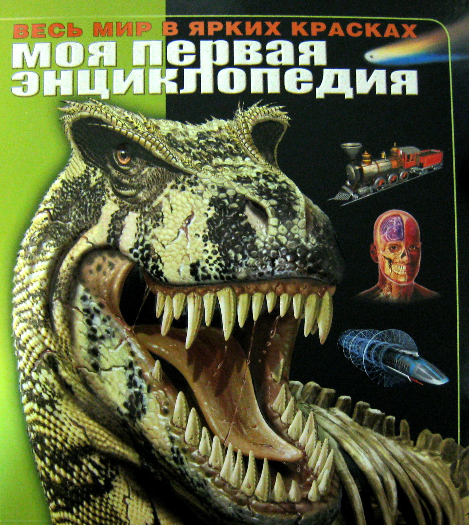 Моя первая энциклопедия (Хардести В., Уэйд Розалин, Сайденстикер Джон, Дайер Алан, Калабрези Линда, Лонг Дж., Мерфи Г., Рубин Кен, Лампкин Сьюзан) - фото №2