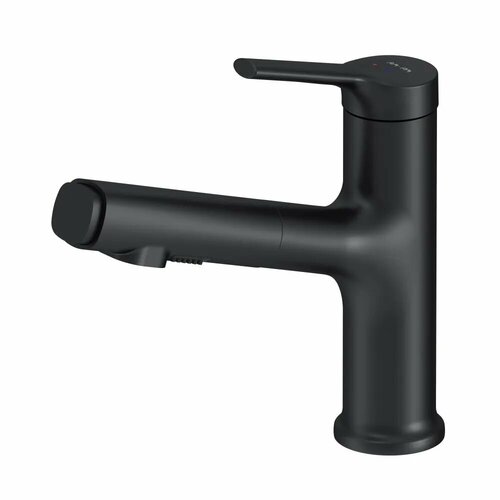 Смеситель для раковины AM.PM X-Joy S F85B02922 с вытяжным изливом, черный черный, черный матовый
