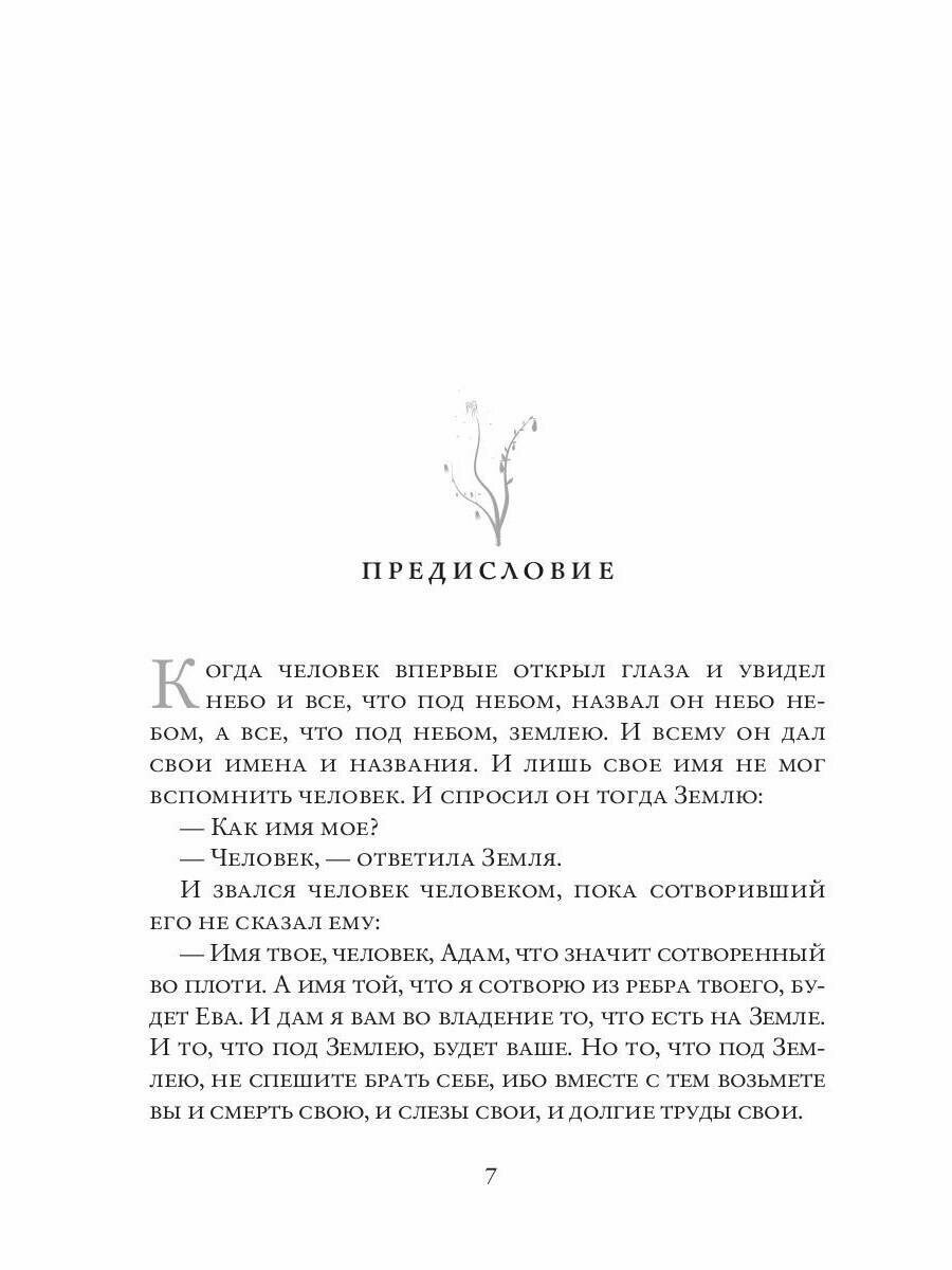 Книга бытия. Предсказание будущего человечества 2034 год. Часть 1 - фото №5