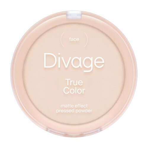 DIVAGE Пудра компактная True Color, 8 г, 01 Fair divage пудра компактная true color 1 шт 02 ivory 9 г