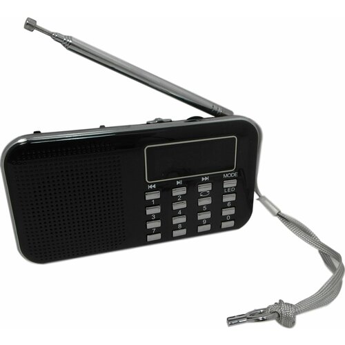 Портативная колонка L-218 Черная 105900₽