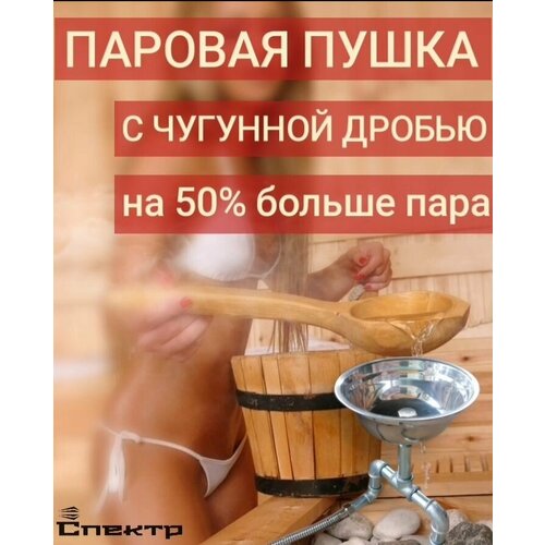 ППС-002 с чугунной дробью, Парогенератор