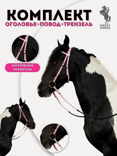 Изображение товара Sweethorse / Комплект - Оголовье + повод + трензель, розовый
