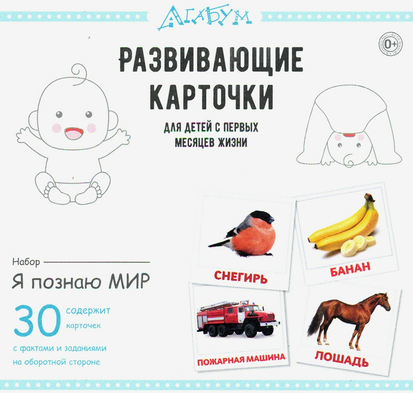 Развивающие карточки «Я познаю мир»