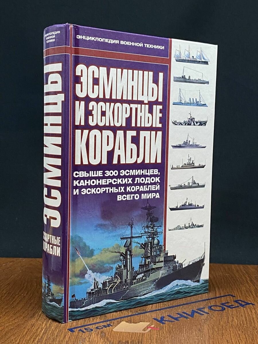 Эсминцы и эскортные корабли 2001