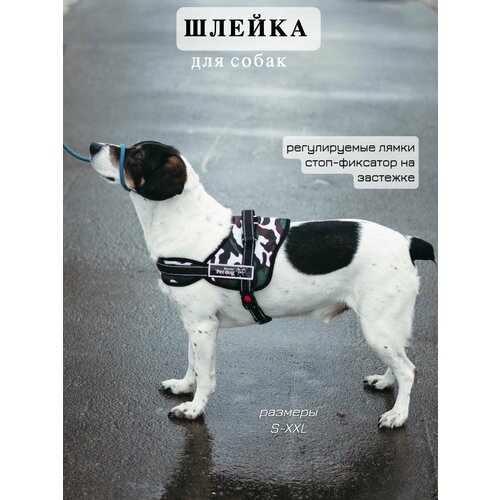 Шлейка для собак анатомическая размер L для крупных средних и мелких пород 900₽