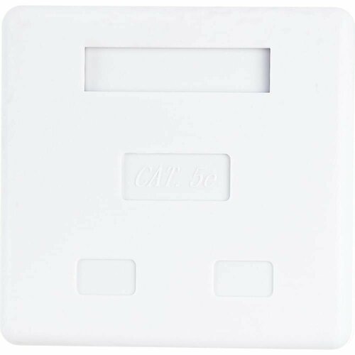 Компьютерная розетка Netlink FD-6166 2хRJ-45 8р-8с 5 кат 00000000425