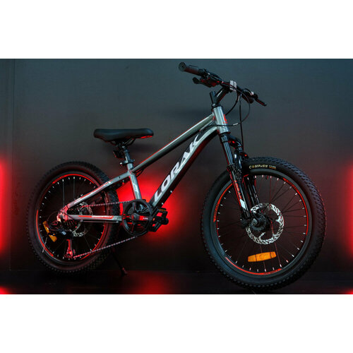 Велосипед детский LORAK Safe 20 СерыйКрасный 21500₽