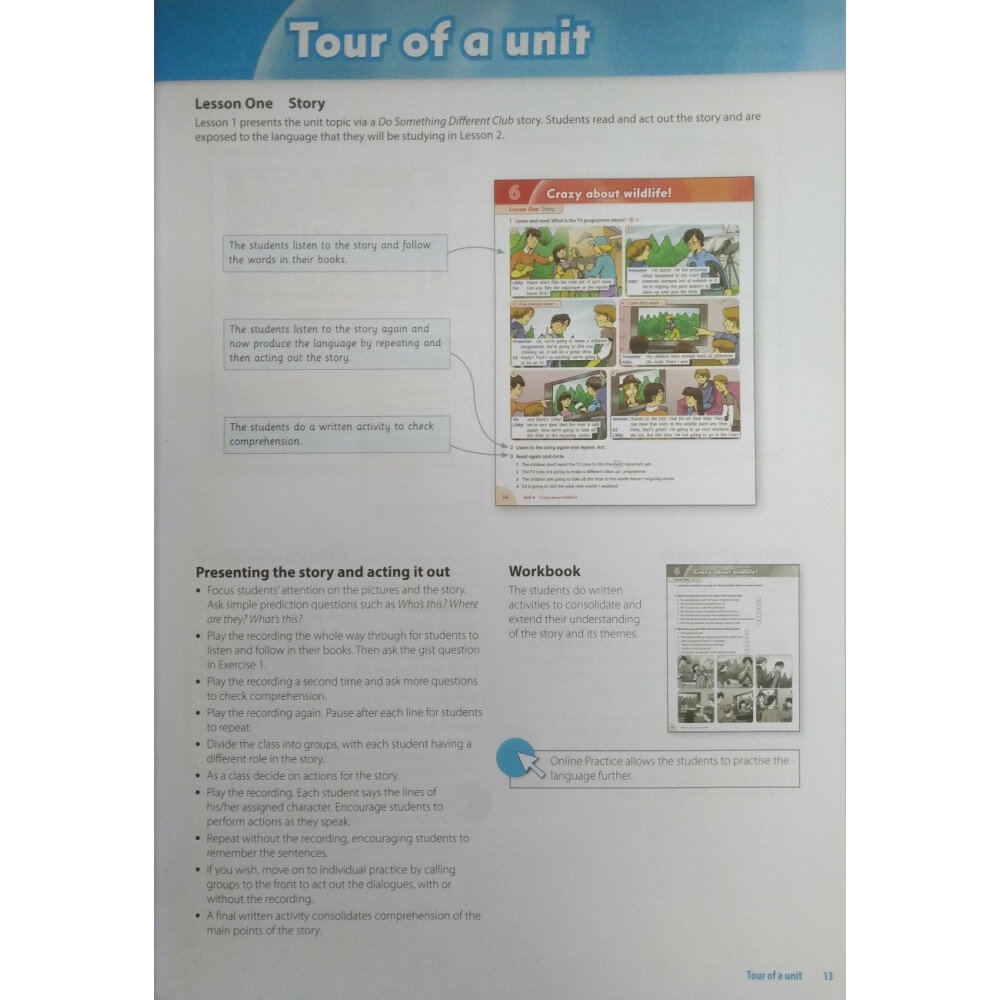 Family and Friends. Level 5. 2nd Edition. Teacher's Book Plus Pack +DVD - фото №12