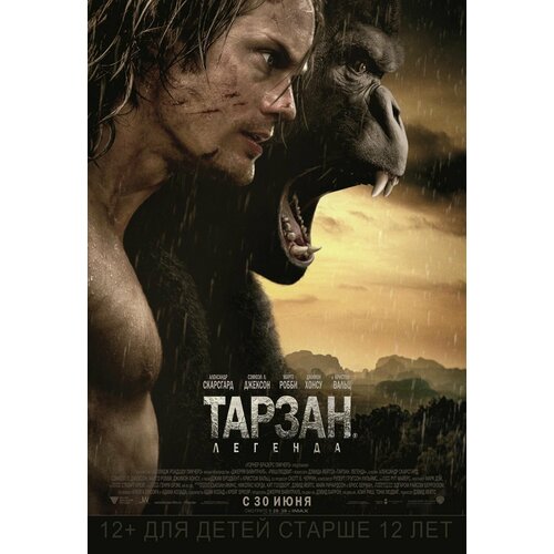 Тарзан. Легенда (2016) (DVD-R)