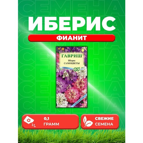 Иберис зонтичный Фианит, 0,1г, Гавриш семена иберис зонтичный жемчужная россыпь 0 2г гавриш 2 упаковки