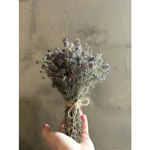 Травяной веник для бани и сауны из чабреца . Запарка для бани.