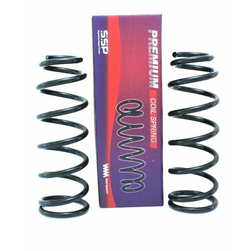 Пружины задние SSP LC PRADO GRJ150, KDJ150 2009-2017