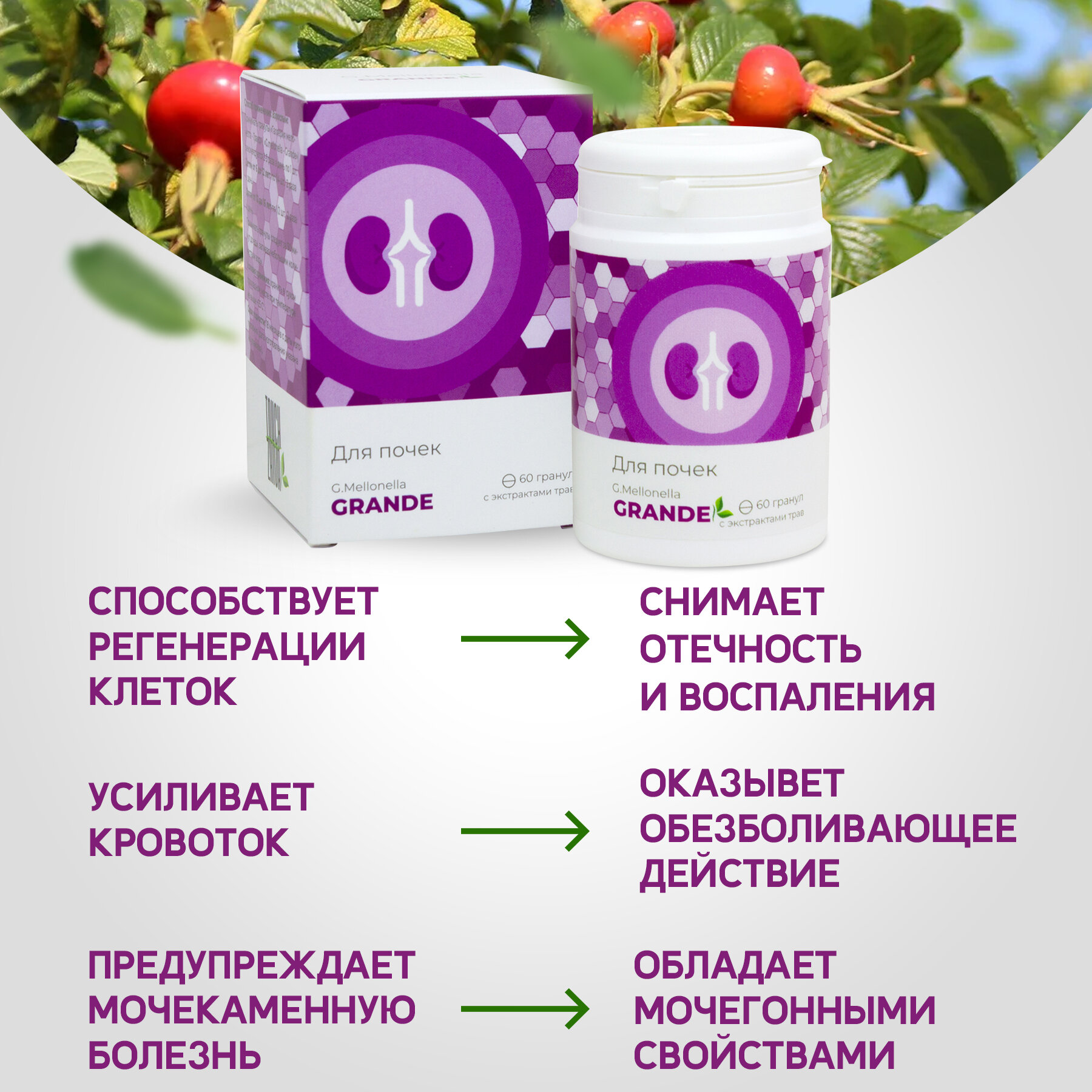 Картинки Двухмесячный комплекс " Огнёвка - Гранд " для почек, мочевыводящих каналов, выведение солей и шлаков, от отеков.