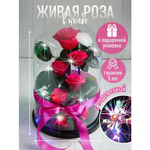 Роза в колбе живая, вечная, стабилизированная 