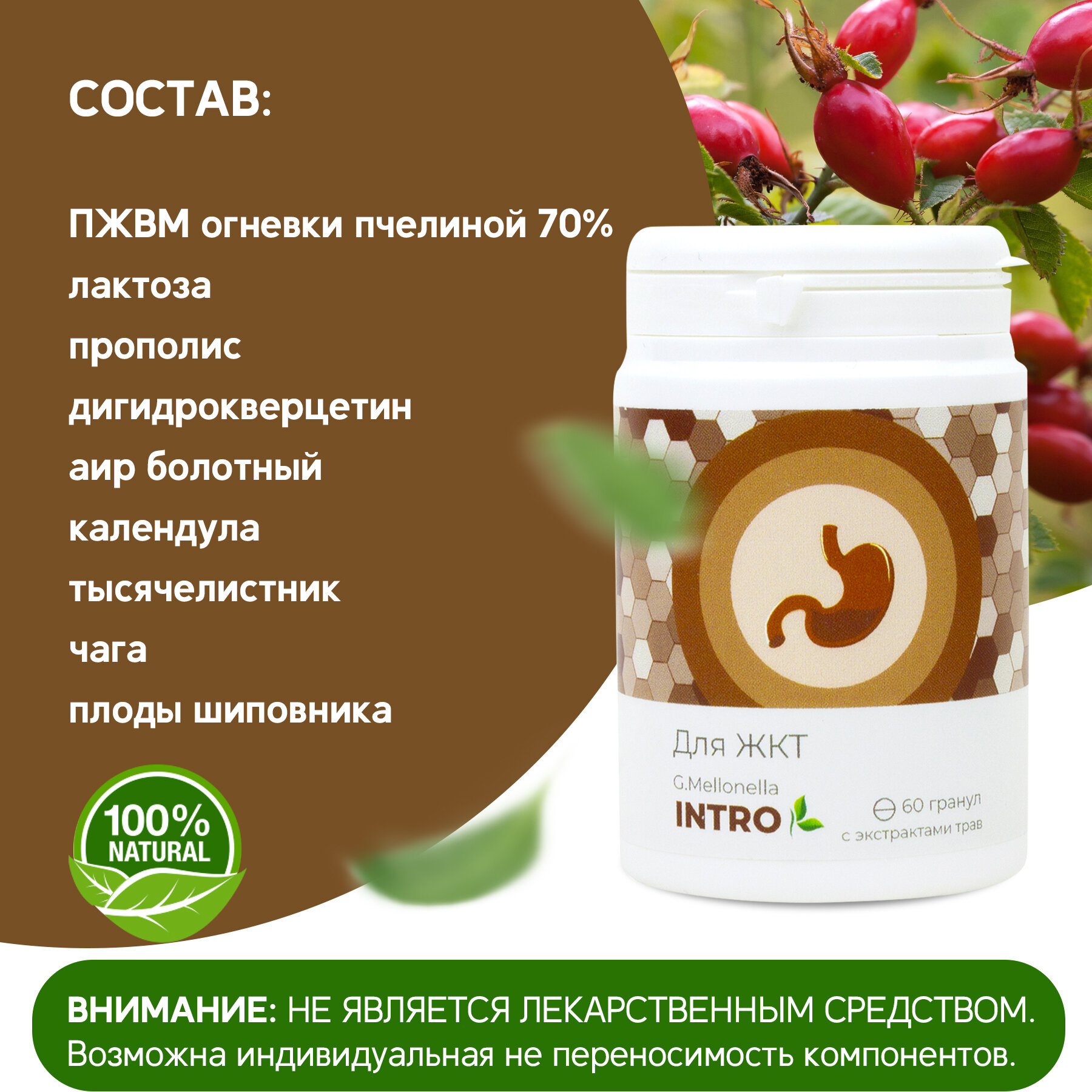 Изображение Огневка Интро - для желудочно кишечного тракта, для улучшения пищеварения, для ЖКТ 60 гранул.