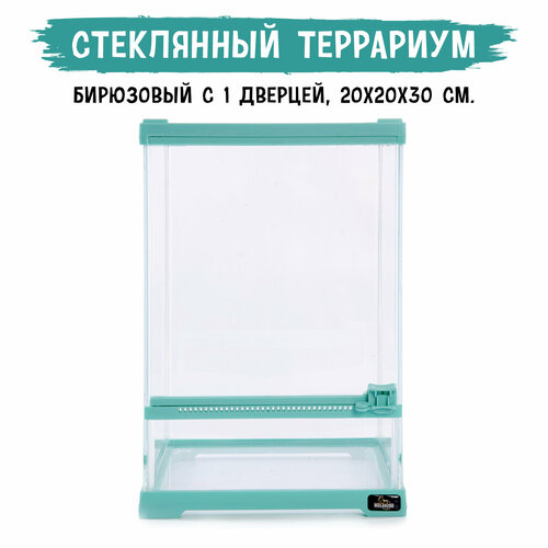Террариум стеклянный c одной дверцей MCLANZOO бирюзовый 20х20хН30см 6720₽