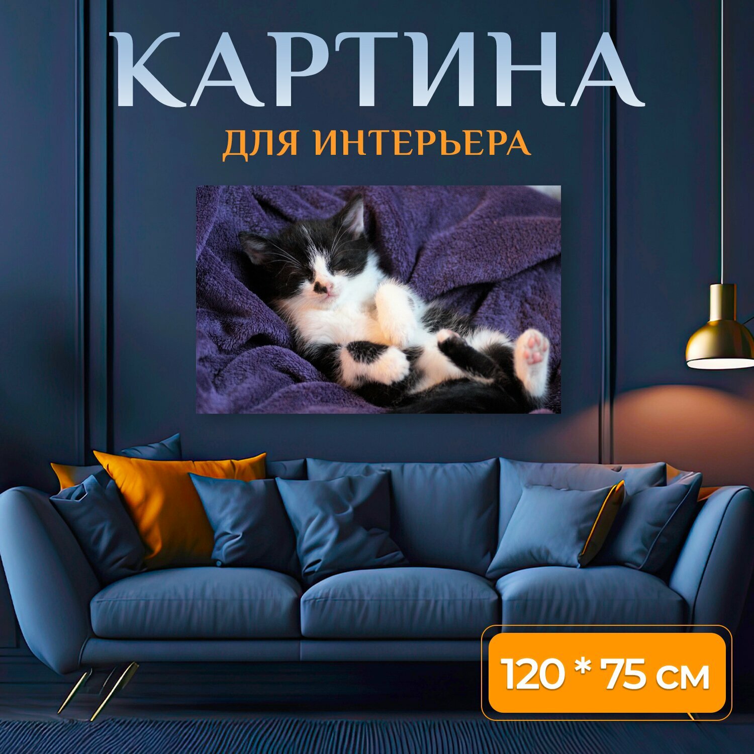 Картина на холсте "Котенок, кот, спит" на подрамнике 120х75 см. для интерьера