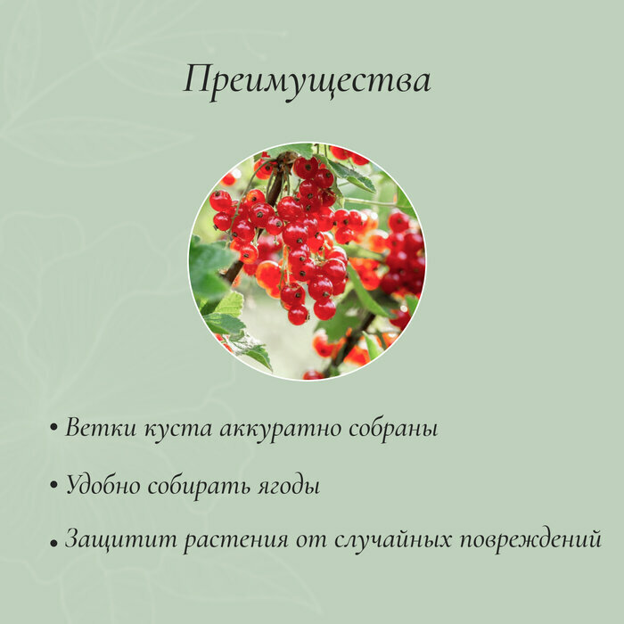 Кустодержатель для клубники "Greengo" d = 20 см, h = 25 см, ножка d = 0,3 см, металл, зелёный — фото 1