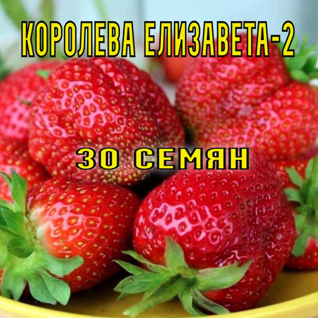 Королева Елизавета-2 30 шт