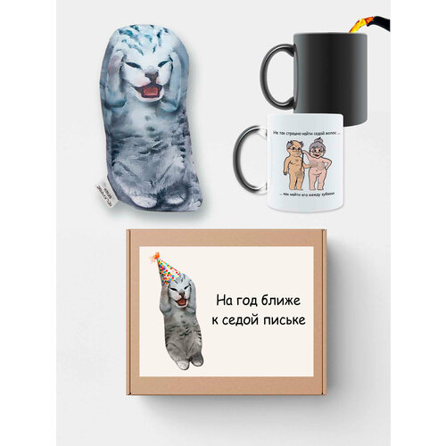 Подарочный набор кружка хамелеонподушка антистресс Для седой 1150₽