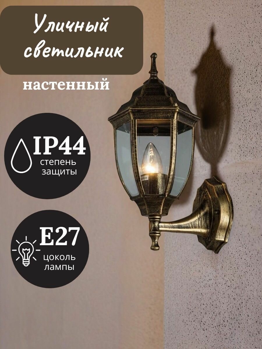 Светильник уличный настенный Arte Lamp Pegasus A3151AL-1BN