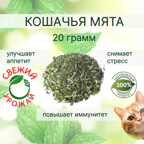 Кошачья мята лакомство для кошек 20 грамм. Котовник сушенный. Для приучения к месту, коррекции поведения, успокоительное.