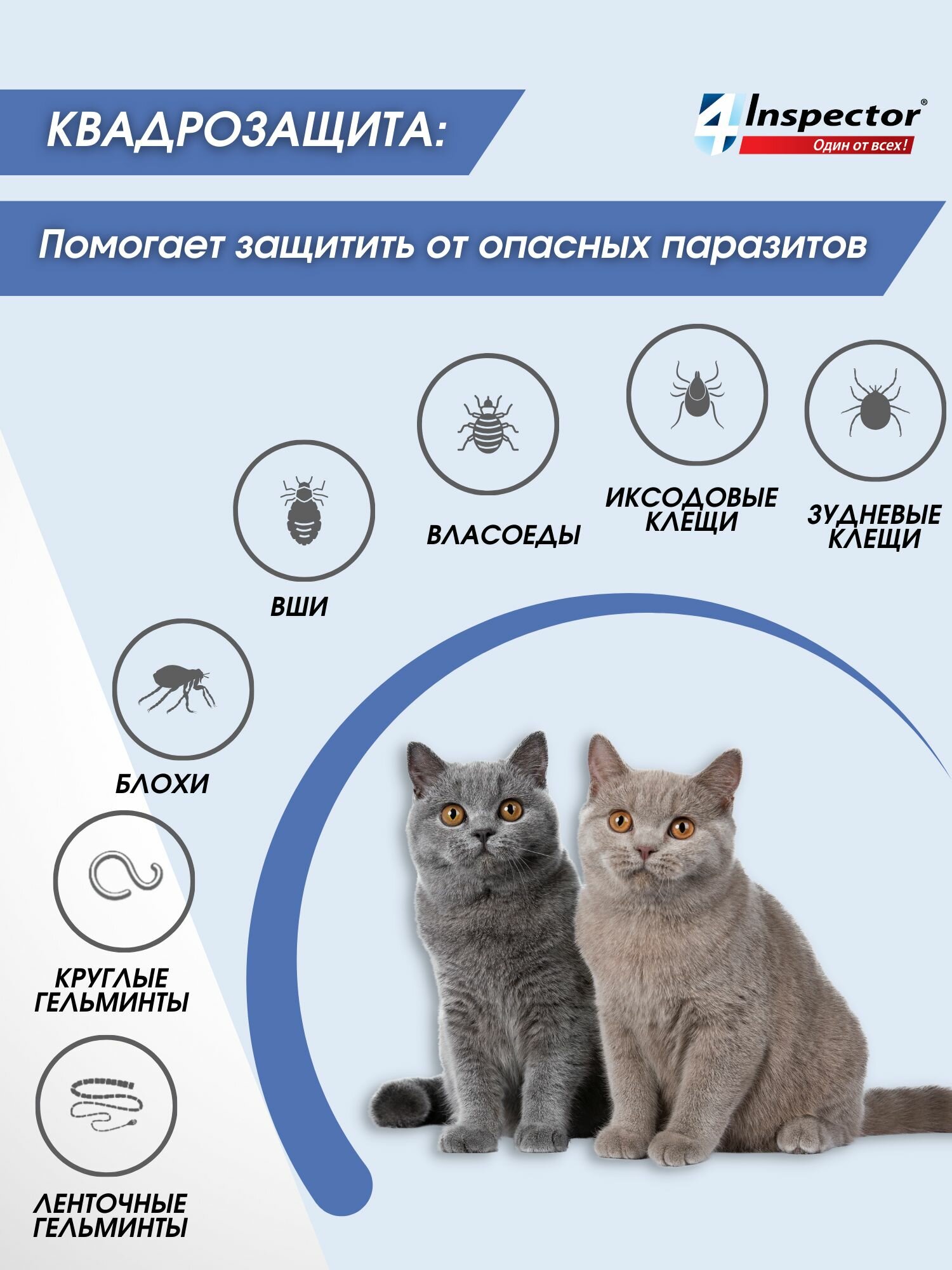 Инспектор Квадро К Капли для кoшек 1-4 кг. от блох, клещей, гельминтов (1 пипетка) — фото 1