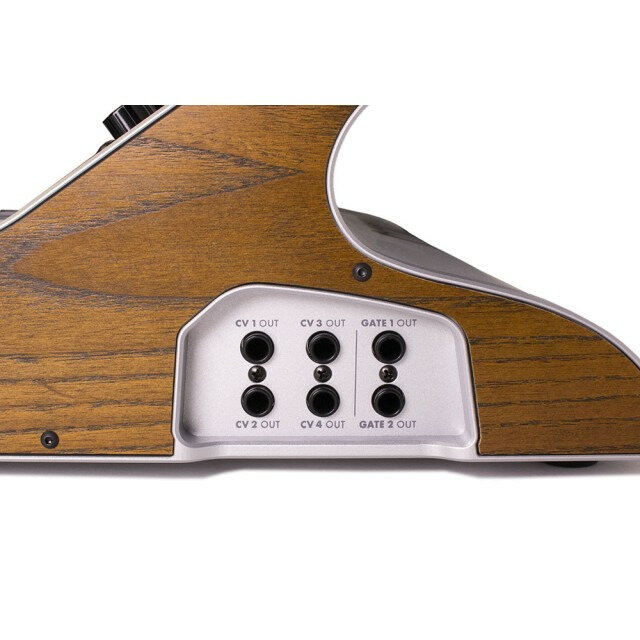 Аналоговый синтезатор Moog Subsequent 37 — фото 1