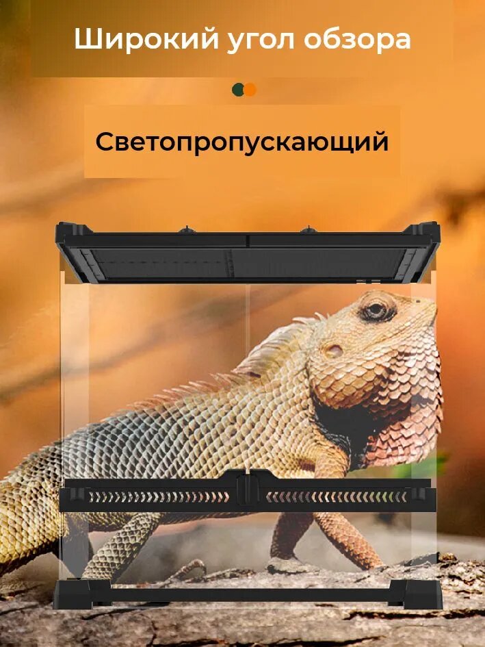 Террариум для рептилий 30х20х20 см, кологичный декорированный аквариум, для ящериц, жаб и черепах, Террариум из закаленного стекла — фото 1