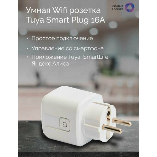Умная Wifi розетка Tuya Smart Plug 16А Работает с Алисой 165000₽