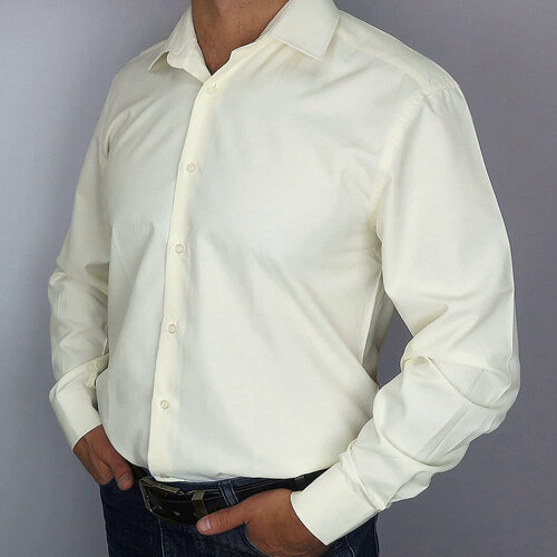 фото Рубашка favourite, размер 42, бежевый