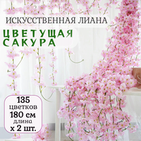 Лучшие Цветки сакуры