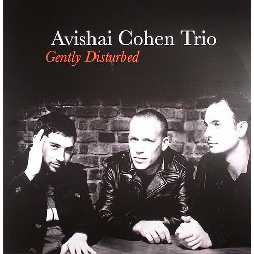 Виниловые пластинки, Razdaz Recordz, AVISHAI COHEN TRIO - Gently Disturbed (LP)