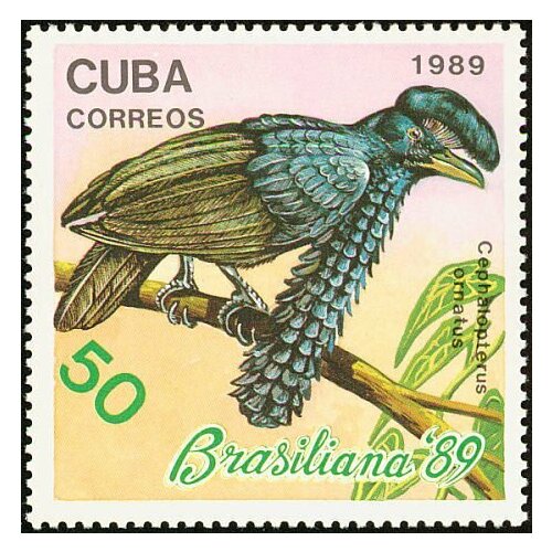 (1989-053) Марка Куба Амазонская зонтичная птица Птицы III Θ