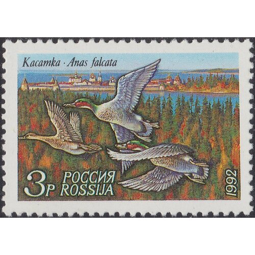 (1992-37) Марка Россия Касатка Утки III O 2011 060 марка россия повой головные уборы русского севера iii o