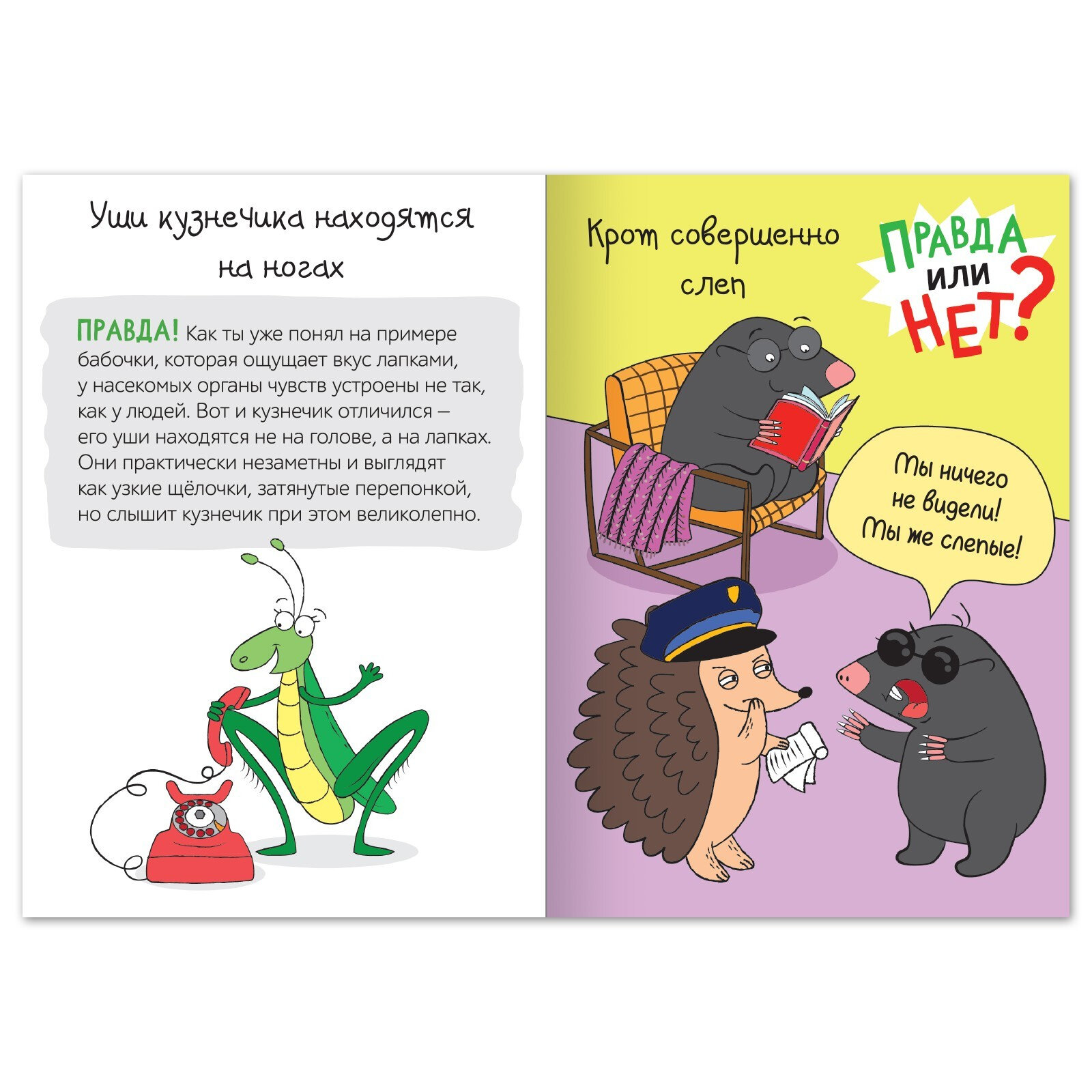 Правда или нет? Мир животных (Соколова Юлия Сергеевна) - фото №6