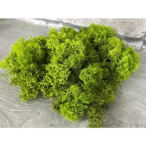 Стабилизированный мох 2 сорт (обрезки) лайм/мох для декора, дизайна, озеленения/лесной, природный мох для хобби и творчества