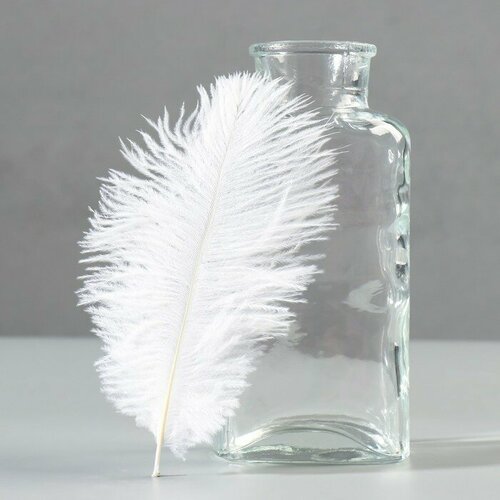 Набор перьев страуса 10-15 см 10 шт белый 1230₽