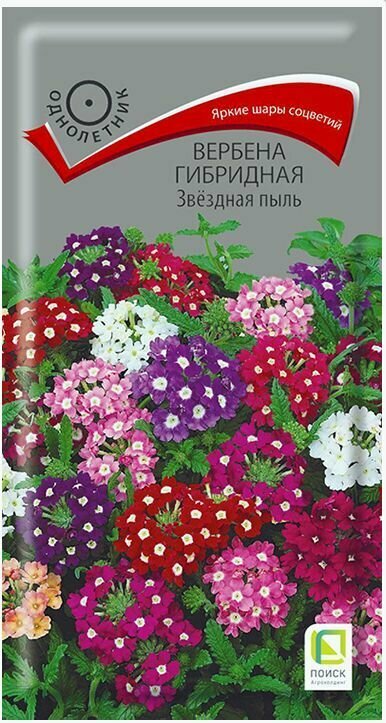 Вербена гибридная Звездная пыль Однолетник 02 грамм Поиск