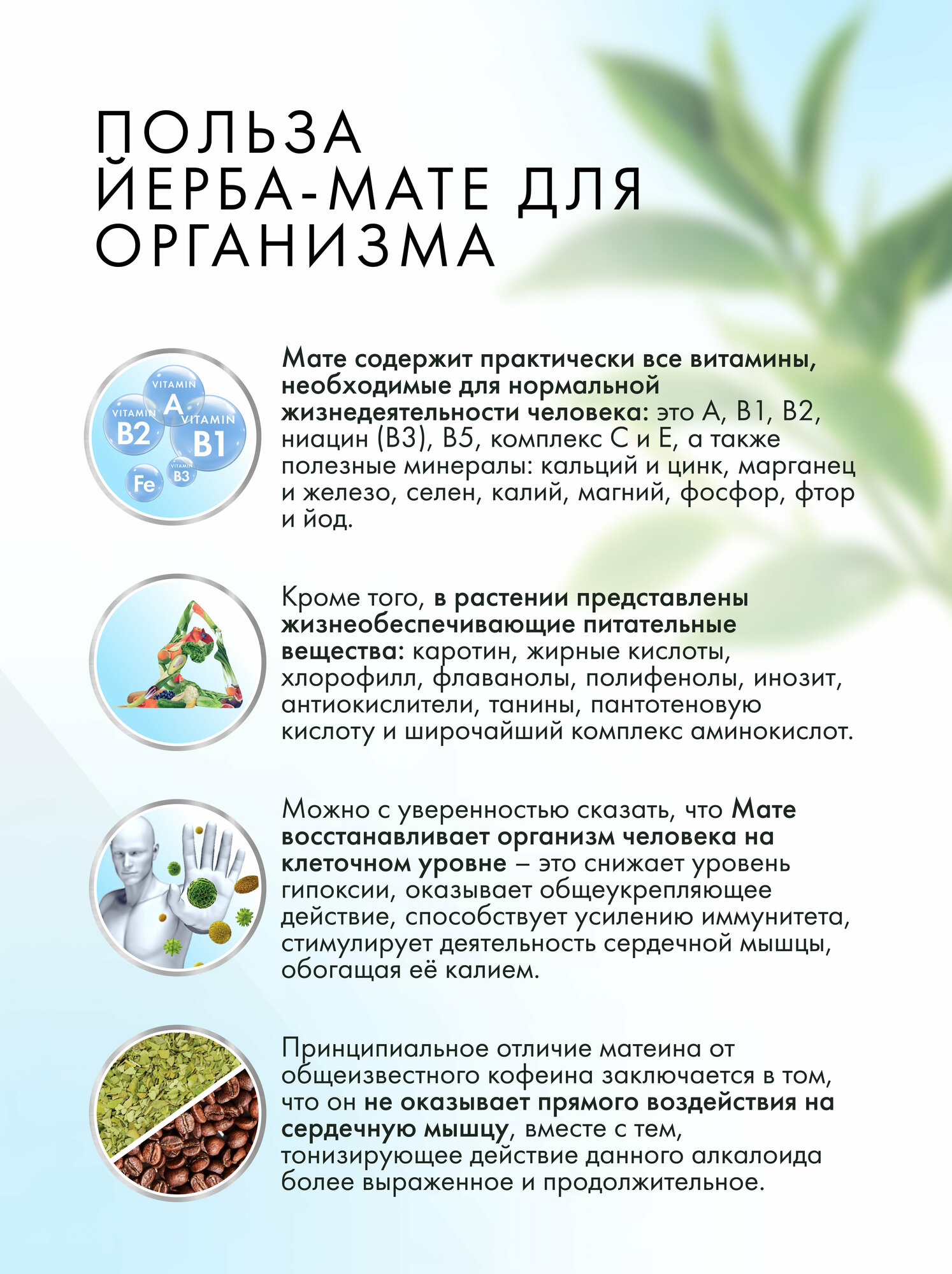 Комплект: Калабас и бомбилья для Йерба Мате — фото 1