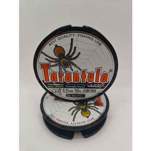 фото Леска tarantula spider grey 0,25мм 100м balsax