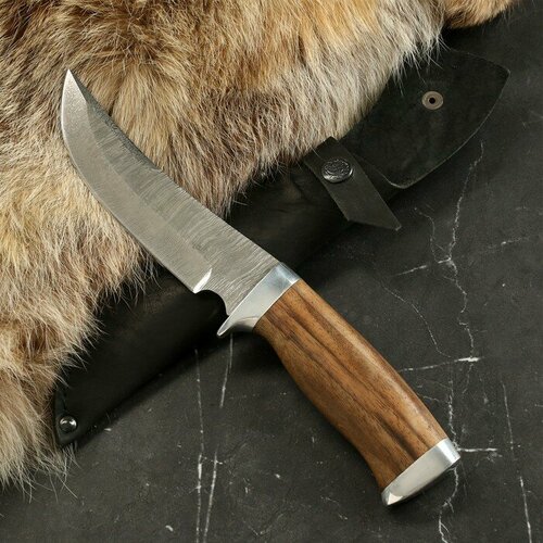 Павловские ножи Нож туристический Ворон сталь - дамаск, рукоять - орех