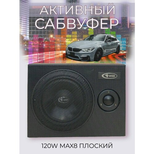 Сабвуфер под сиденье активный SYZX V-US80 699900₽