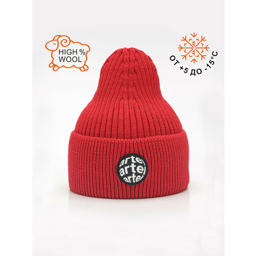 фото Шапка бини artel, размер 52, красный