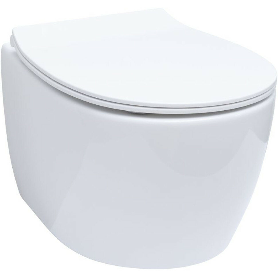 фото Унитаз подвесной Allen Brau Fantasy 4.11004.20 безободковый, размер 36x51 см, без сиденья, цвет белый