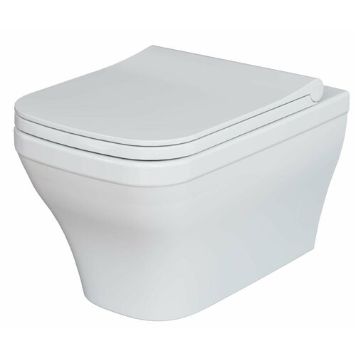 Унитаз подвесной Ambassador Benefit 203T20001R